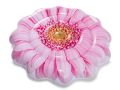Luftmatratze Rosa Gänseblümchen