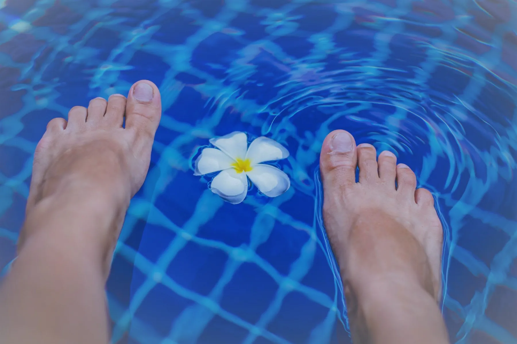 Comfortpool FuzzyClean Comfortpool FuzzyClean